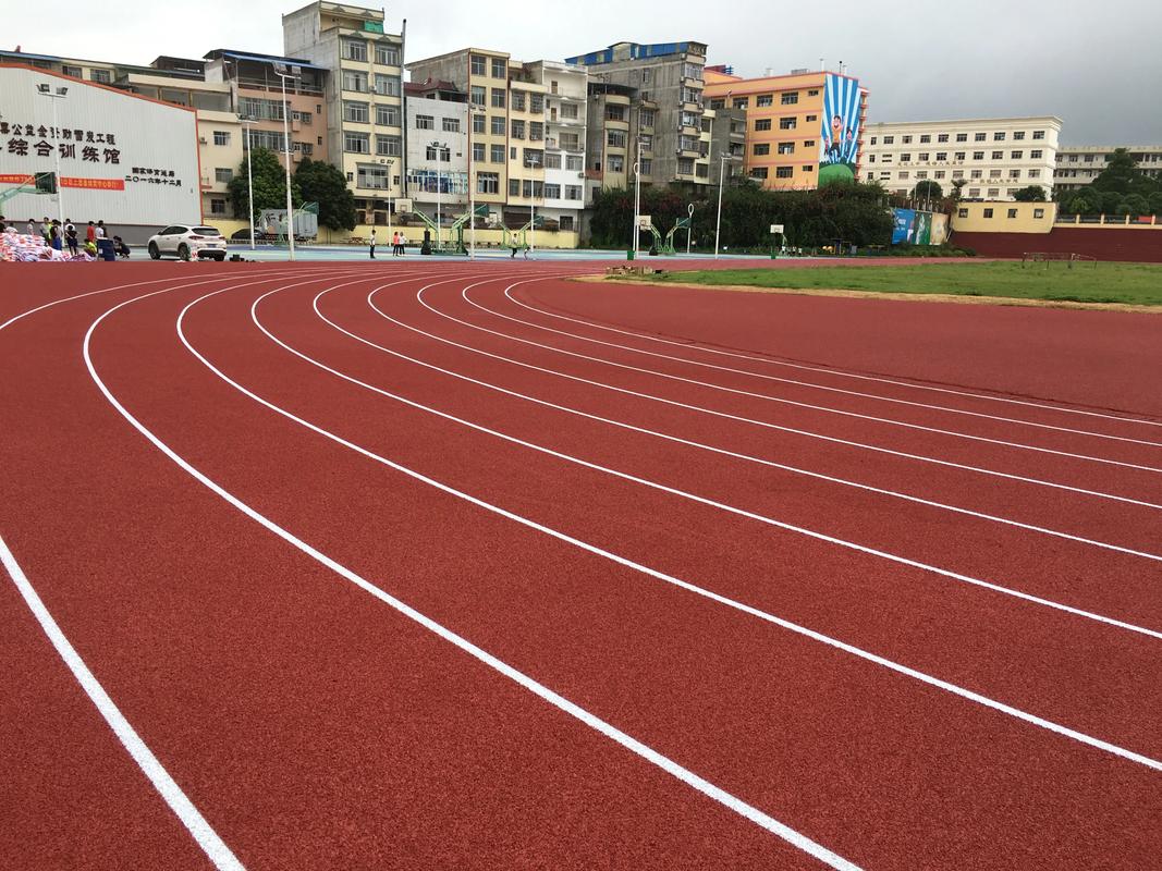 枣庄市学校塑胶跑道塑胶跑道材料 - 哪里好